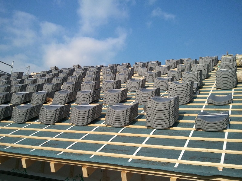 みずしま現場見学 (14).jpg