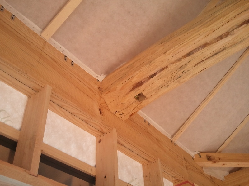 みずしま現場見学 (9).jpg