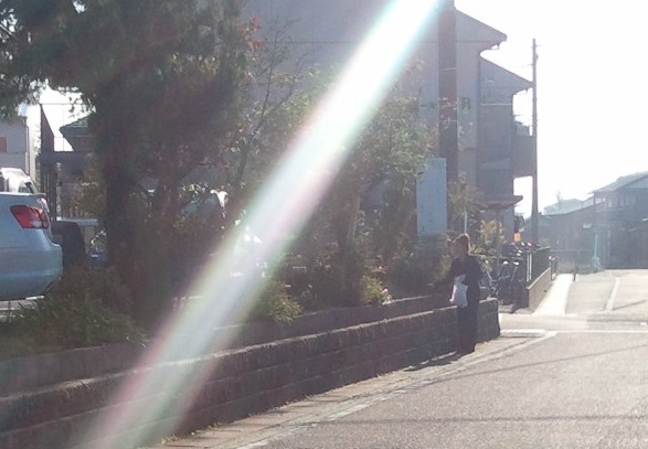 2011-10-24 草取り1