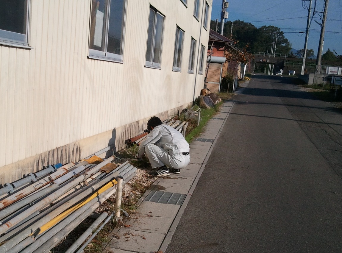 2011-10-24 07草取り