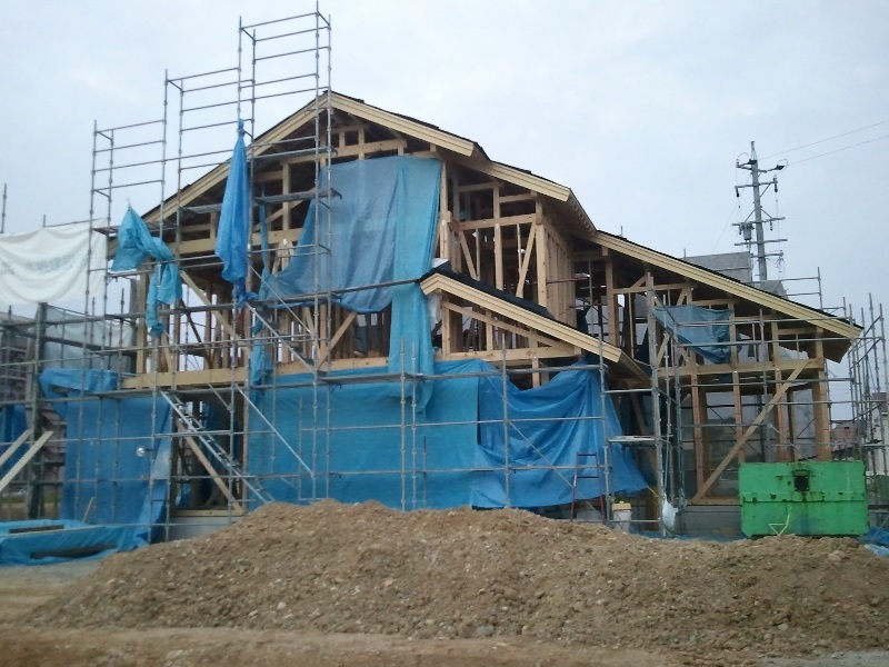 2011-11-18 06.38.11.jpg