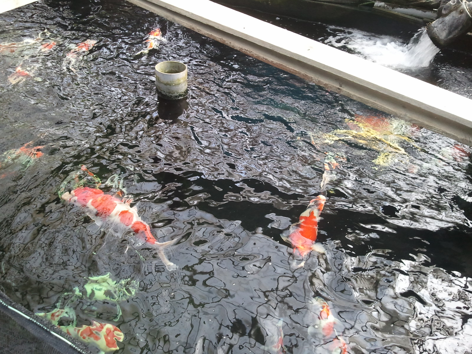 2012-05-18 09.01.57.jpg