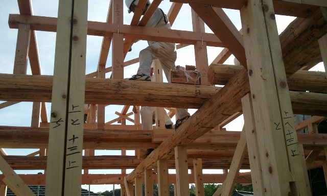 2012-09-09 16.30.49.jpg