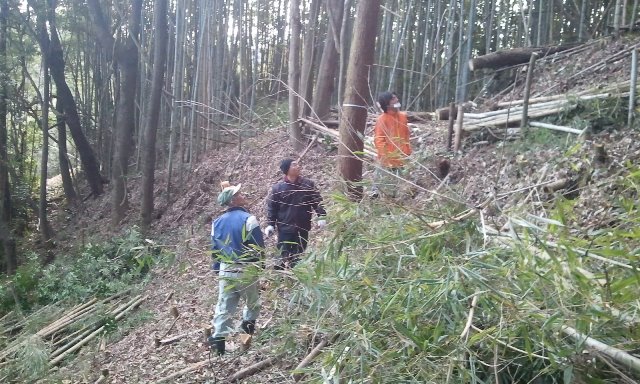 2013-02-08 09.16.25.jpg