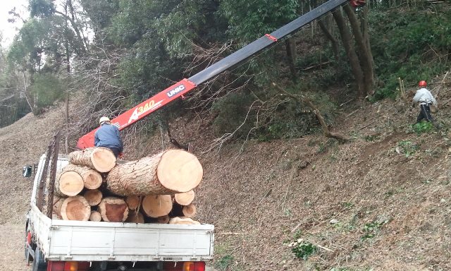 2013-02-12 13.27.53.jpg