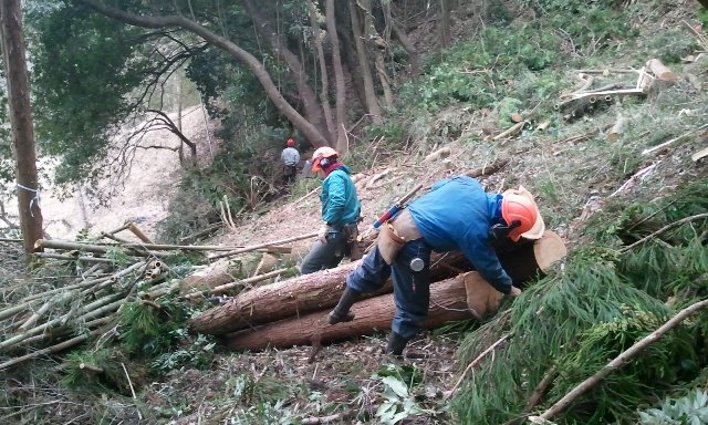 2013-02-12 13.29.09.jpg