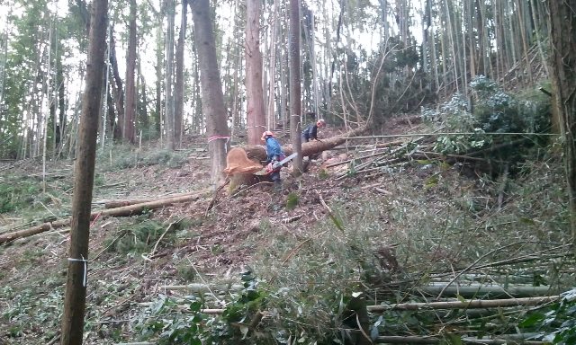 2013-02-12 13.52.44.jpg