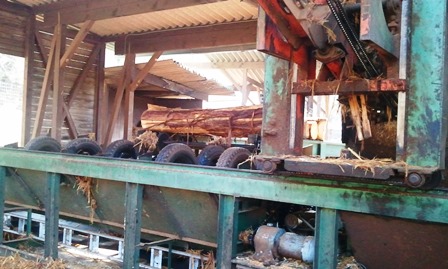 2013-02-28 09.47.01.jpg