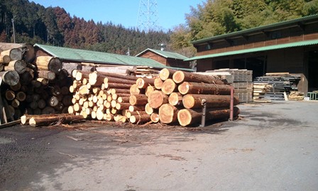 2013-02-28 10.30.12.jpg