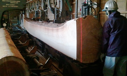 2013-03-04 16.23.20 (2).jpg